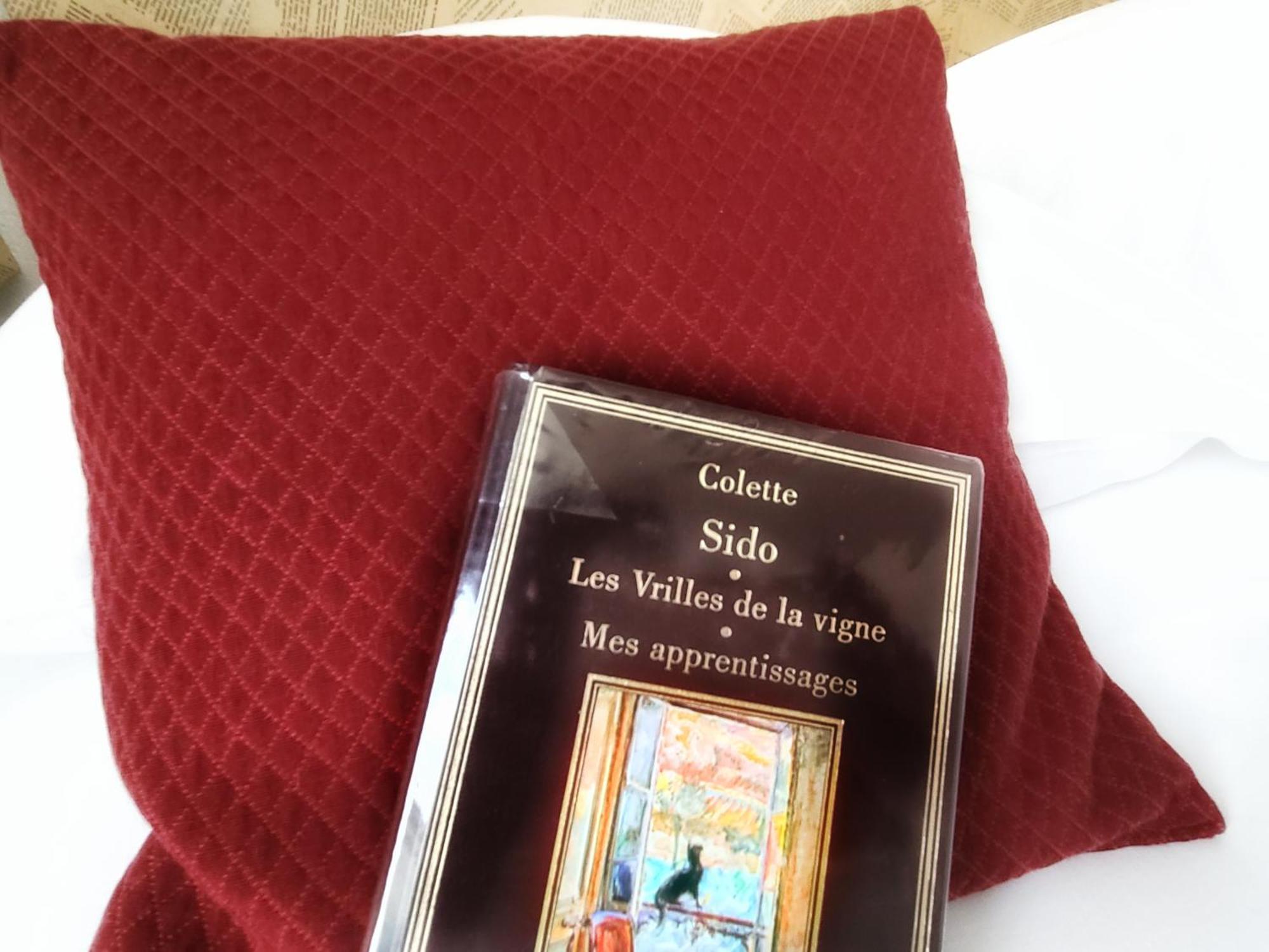 Hotel Mille Et Une Feuilles La Charité-sur-Loire 외부 사진